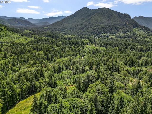 property view of mountains