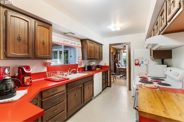 kitchen with ventilation hood, a healthy amount of sunlight, white appliances, and sink