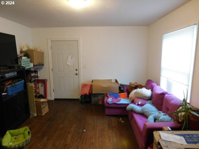 living room featuring dark hardwood / wood-style flooring