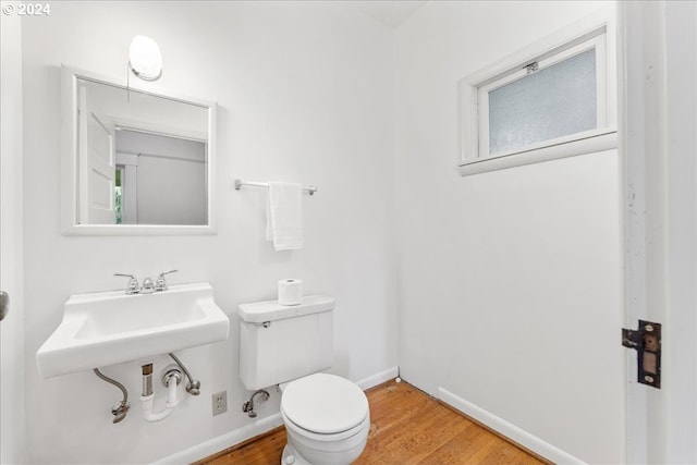 bathroom with hardwood / wood-style flooring and toilet