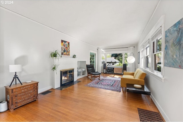 living room with wood-type flooring