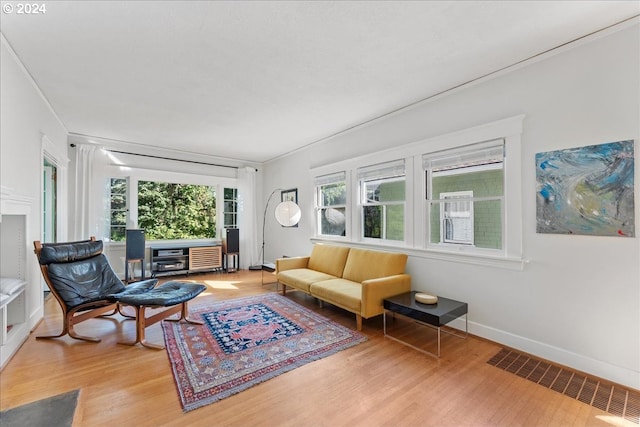 living room featuring crown molding and light wood-type flooring