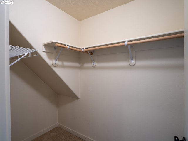 walk in closet featuring carpet floors