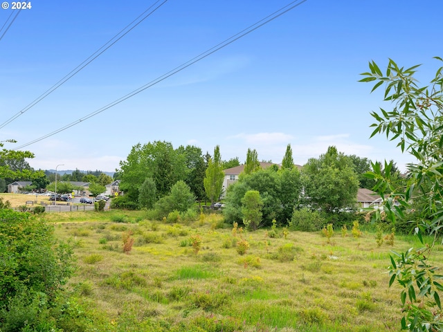 view of yard with a rural view