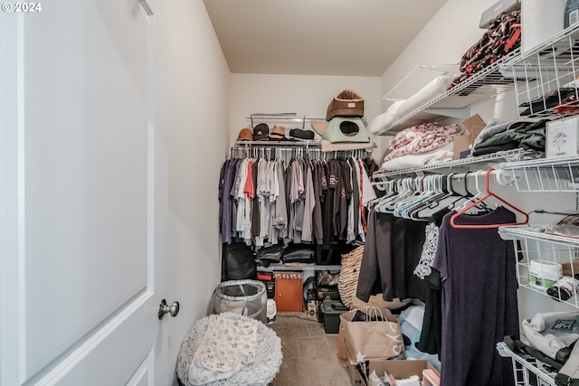 view of walk in closet