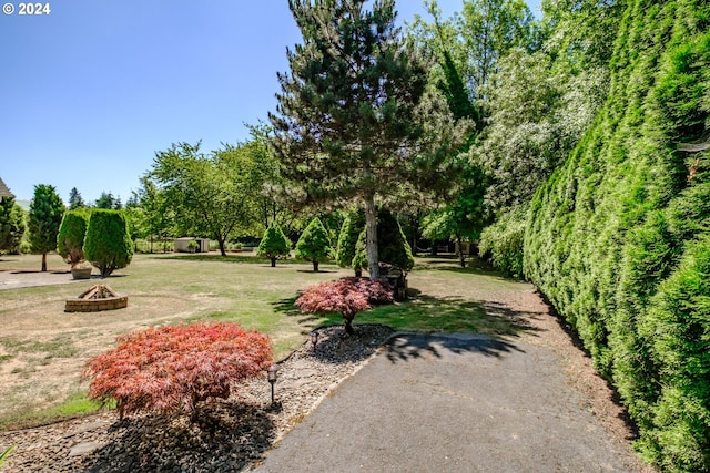 surrounding community featuring a yard