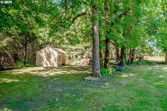 view of yard with a storage shed