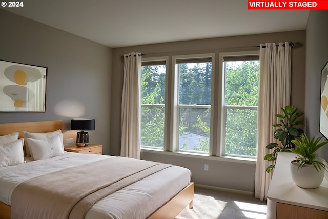 bedroom with multiple windows and carpet floors