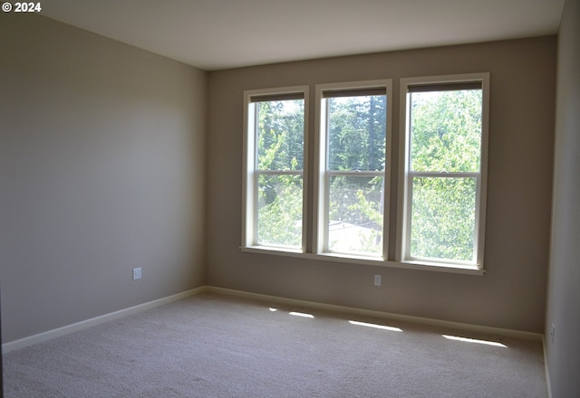 spare room with carpet flooring and plenty of natural light