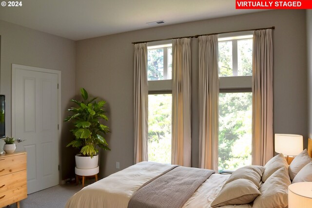 bedroom with multiple windows