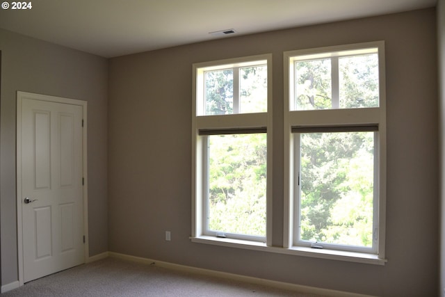 spare room with a wealth of natural light and light colored carpet