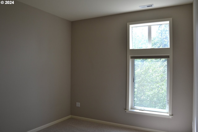 carpeted spare room featuring a wealth of natural light