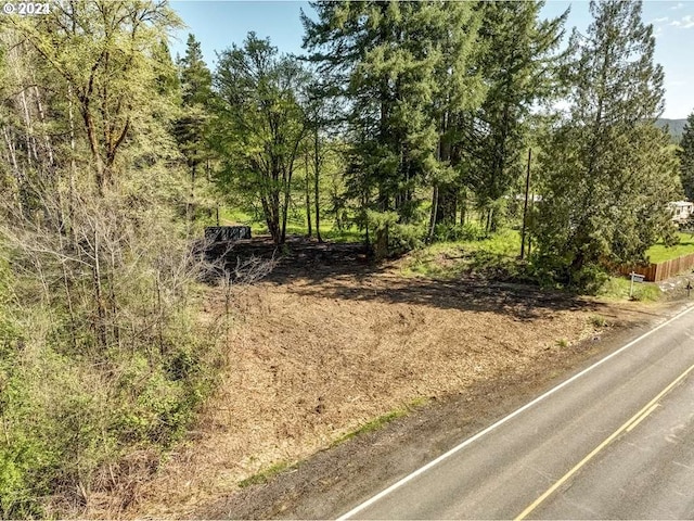 Listing photo 3 for 62411 Nehalem Hwy N, Vernonia OR 97064