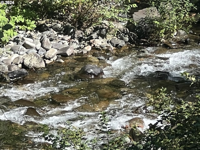 view of local wilderness