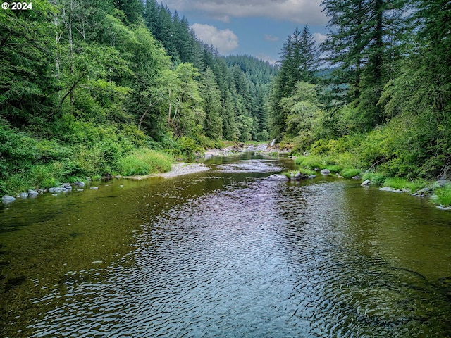 view of water feature with a forest view