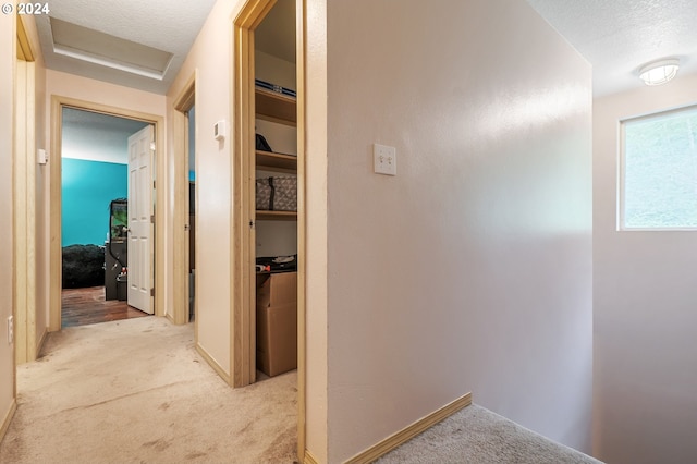 hall featuring light carpet, a textured ceiling, and attic access