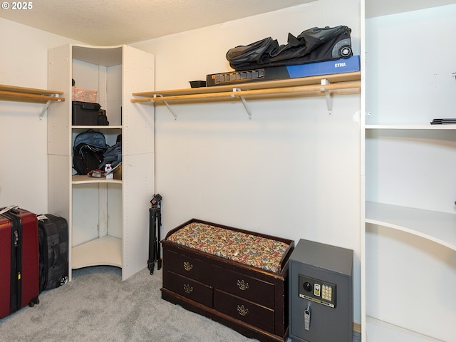 spacious closet featuring carpet