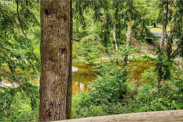 view of nature with a water view and a forest view