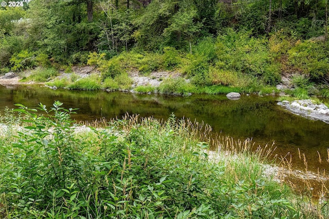 view of local wilderness with a water view and a view of trees