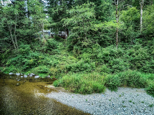 view of local wilderness featuring a wooded view