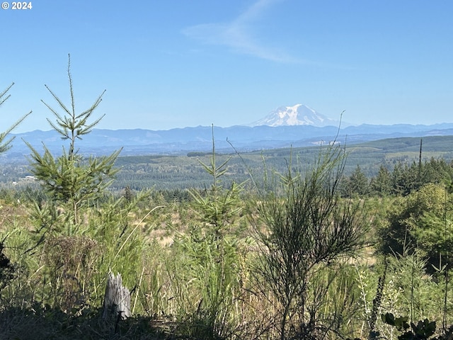 0 Casey Rd Unit 1, Castle Rock, WA 98611
