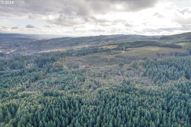 0 Casey Rd Unit 1, Castle Rock, WA 98611