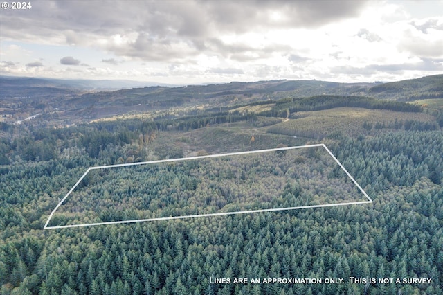 0 Casey Rd Unit 1, Castle Rock, WA 98611