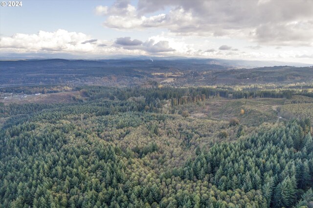 0 Casey Rd Unit 1, Castle Rock, WA 98611