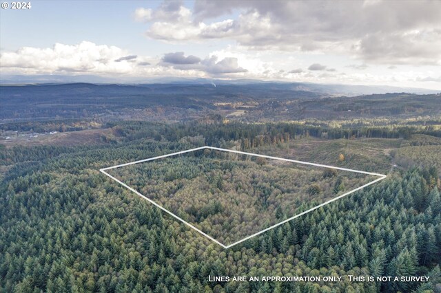 0 Casey Rd Unit 1, Castle Rock, WA 98611