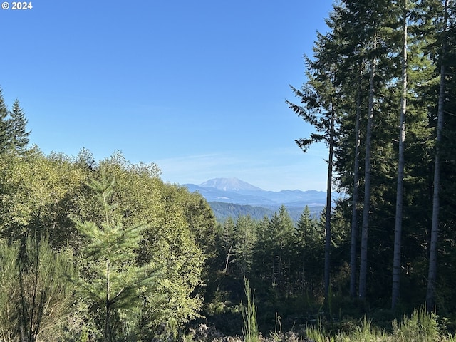 0 Casey Rd Unit 1, Castle Rock, WA 98611