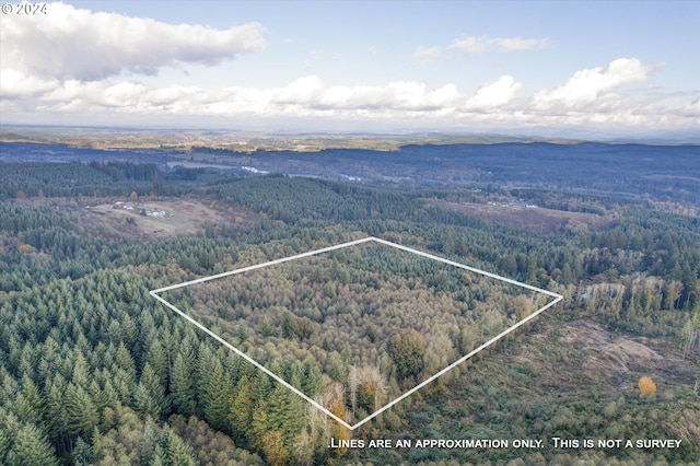 0 Casey Rd Unit 1, Castle Rock, WA 98611