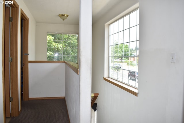 corridor with carpet flooring and a healthy amount of sunlight