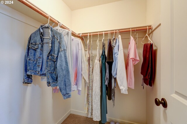 walk in closet featuring carpet flooring