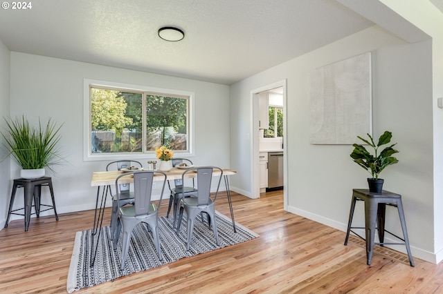 dining room with light hardwood / wood-style flooring