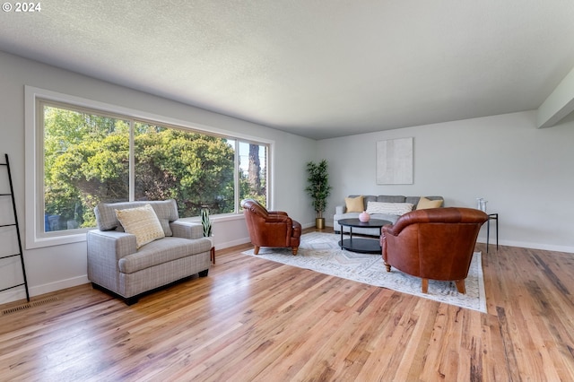 living room featuring a textured ceiling and light wood-type flooring