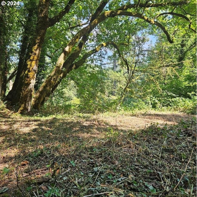 3520 SE Washougal River Rd Unit 104, Washougal, WA 98671