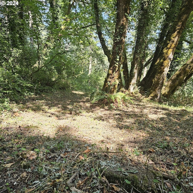 3520 SE Washougal River Rd Unit 104, Washougal, WA 98671