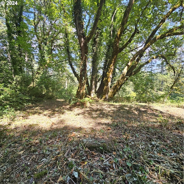3520 SE Washougal River Rd Unit 104, Washougal, WA 98671