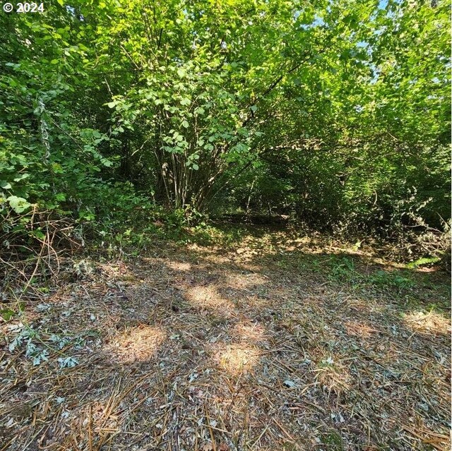 3520 SE Washougal River Rd Unit 104, Washougal, WA 98671