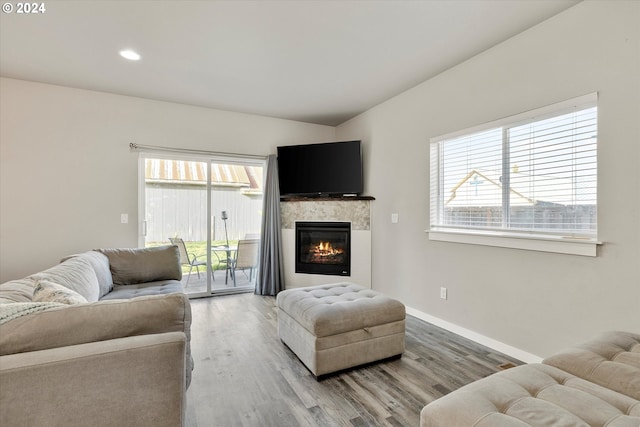 living room featuring wood-type flooring