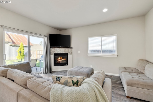 living room with hardwood / wood-style flooring and a wealth of natural light