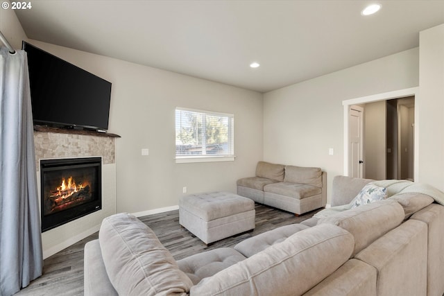 living room featuring wood-type flooring and a fireplace