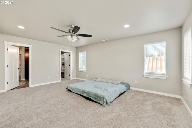 bedroom with a walk in closet, ceiling fan, a closet, and carpet floors