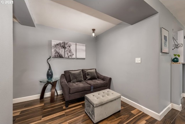 living area with dark wood-type flooring