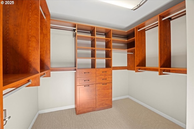 walk in closet featuring light carpet