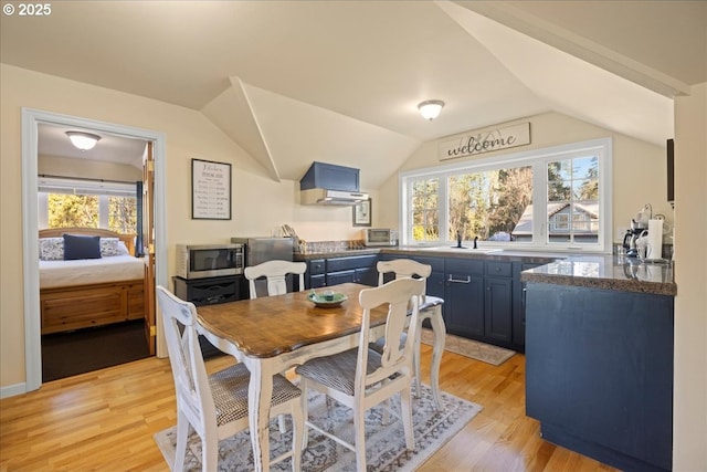 dining room featuring vaulted ceiling, plenty of natural light, sink, and light hardwood / wood-style flooring