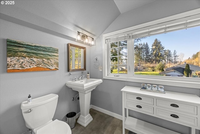 bathroom with lofted ceiling, toilet, and hardwood / wood-style floors