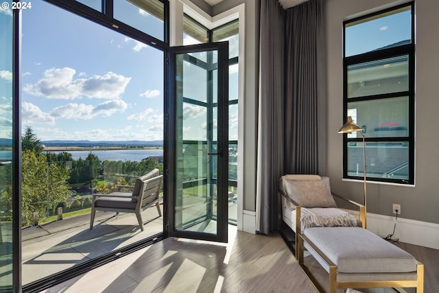 doorway with light hardwood / wood-style floors, a water view, and a wealth of natural light