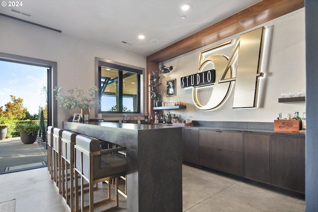 bar featuring dark brown cabinetry and a healthy amount of sunlight