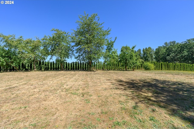 view of yard featuring a rural view